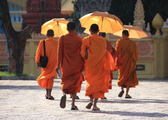 Walking the Middle Path photograph by Cesca